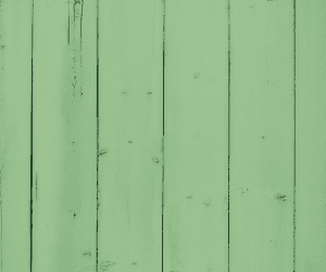 Green Paint on Fence