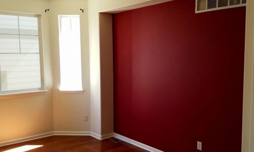 Interior Accent Wall Painting