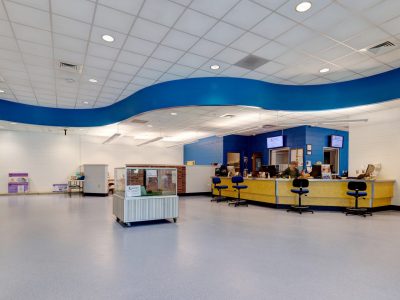 Interior Painting Project