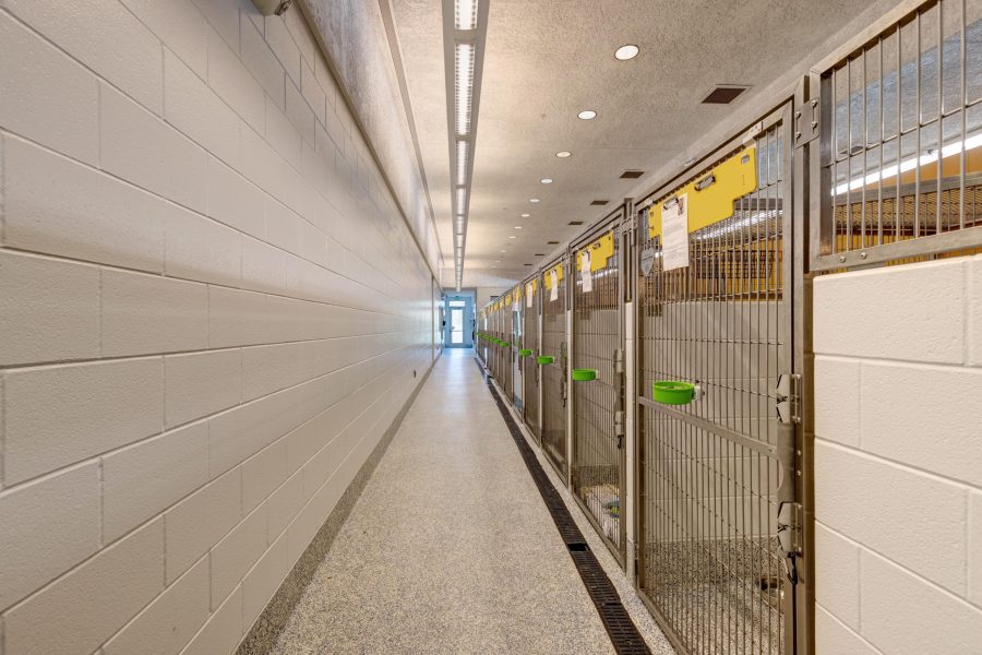 Interior Painting Project Preview Image 1