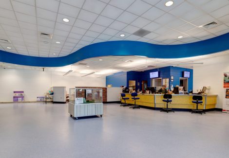 Veterinary Clinic Painting Project