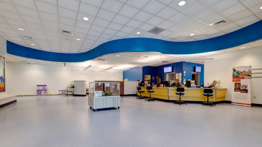 Interior Painting Project