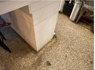 Before Look at Columns