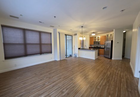 Apartment Interior Painting Refresh