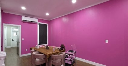 Interior Color Change