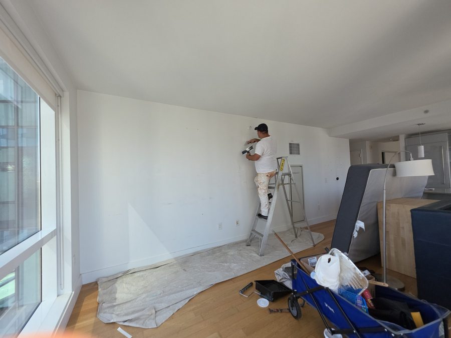 during painting project Preview Image 3