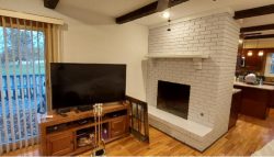 Professional Fire Place Painting