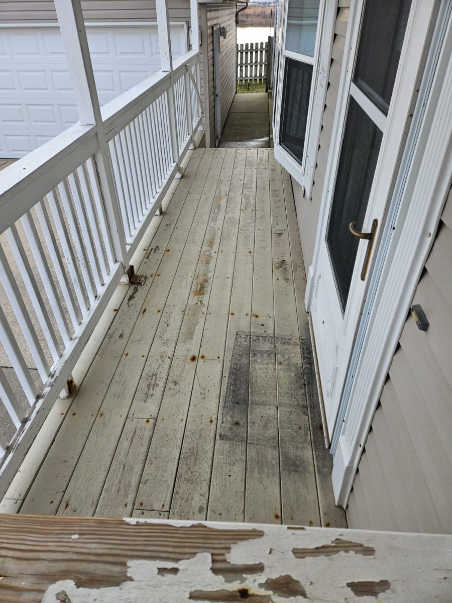 Before Professional Deck Painting Preview Image 2