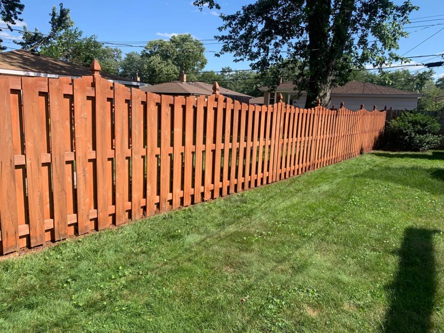 Fence Staining for Backyard in Dolton, IL