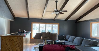 Living Room Transformation