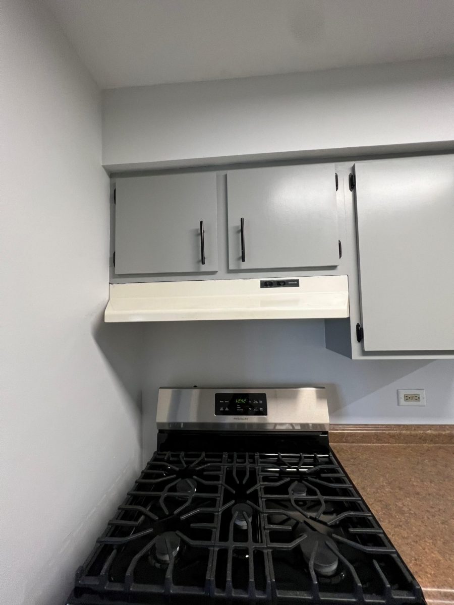 Oak Forest, IL Cabinet Painters Preview Image 2