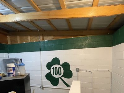 Baseball Tower Professional Painting