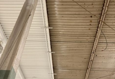 Before & After Dryfall Ceiling Painting