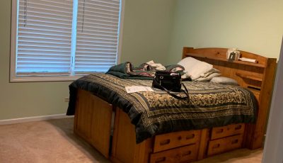 Hazel Crest Bedroom Painting