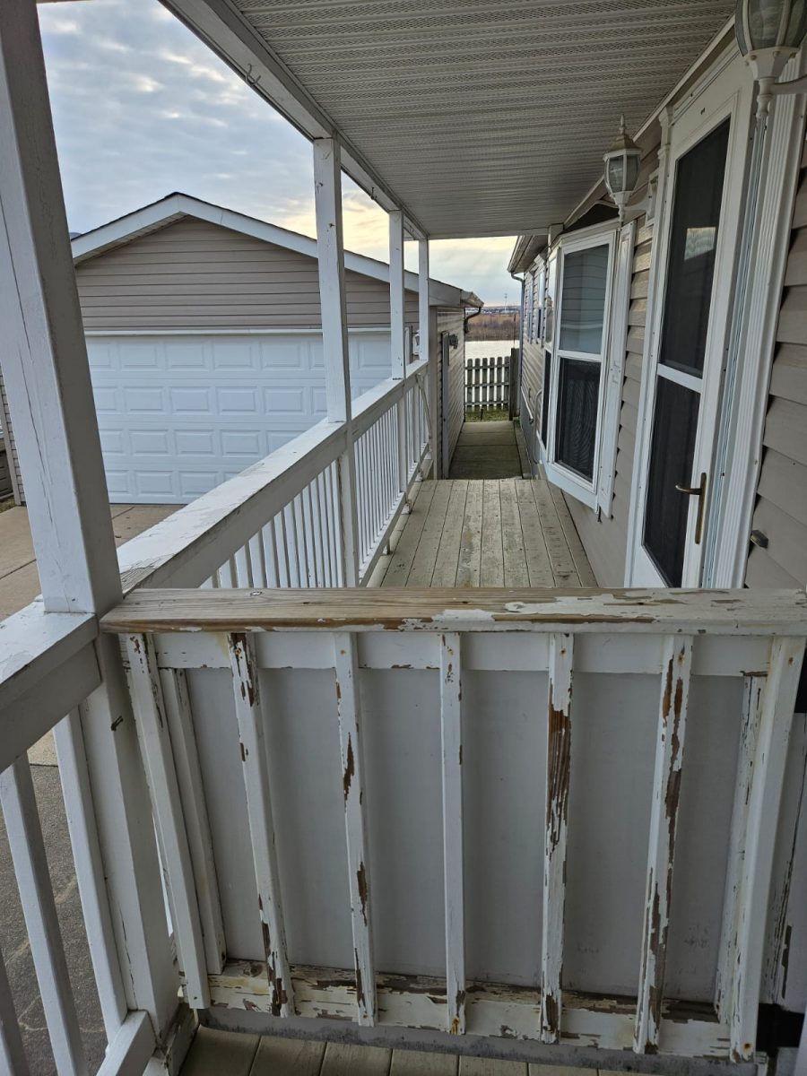 Before Railing Painting Preview Image 1