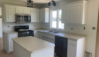 Bourbonnais Cabinet Painting Ater