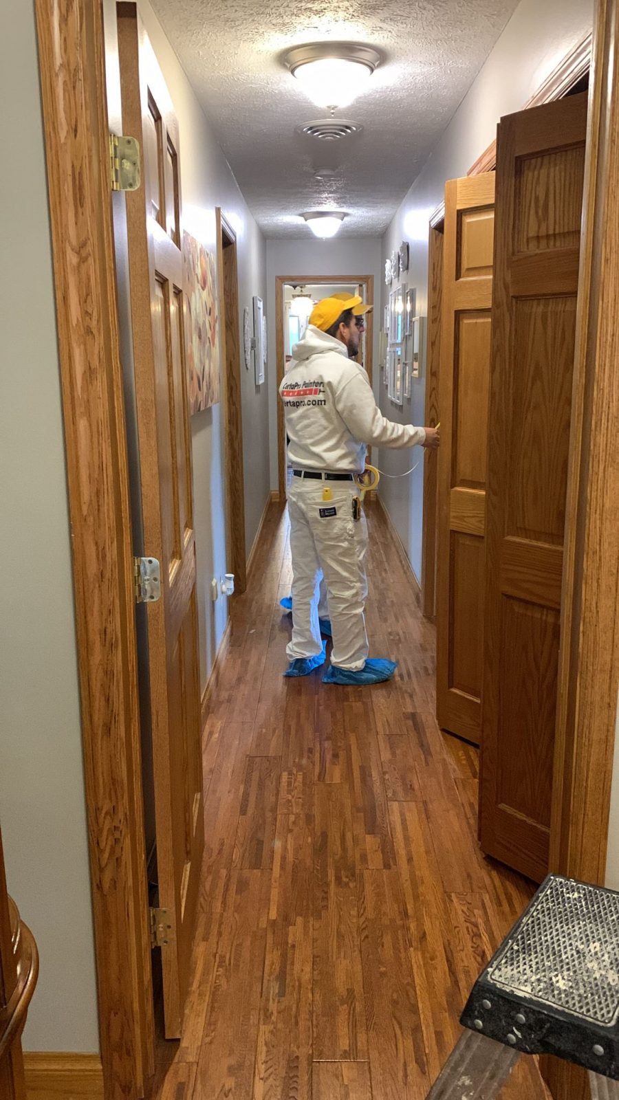 Before Hallway Door Painting Preview Image 4