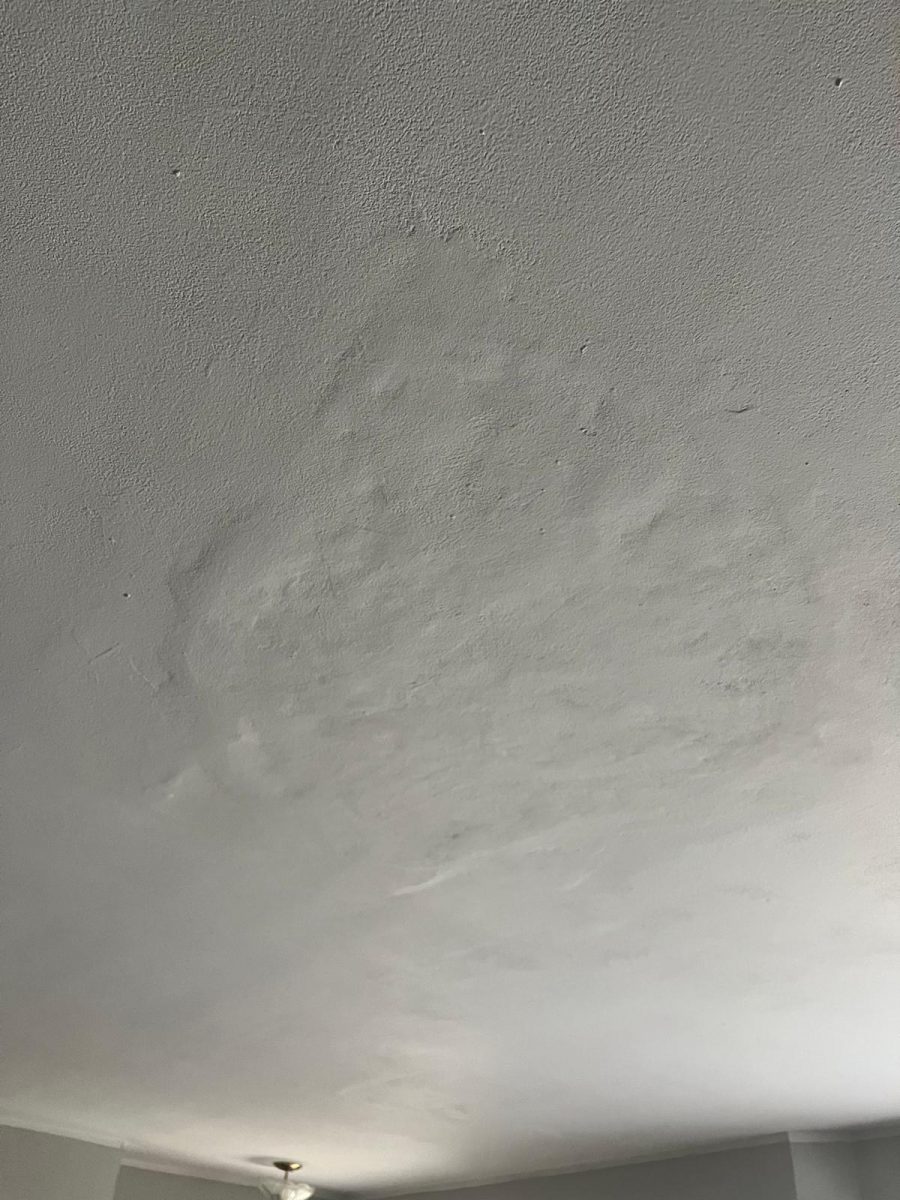 water damage on ceiling drywall Preview Image 2