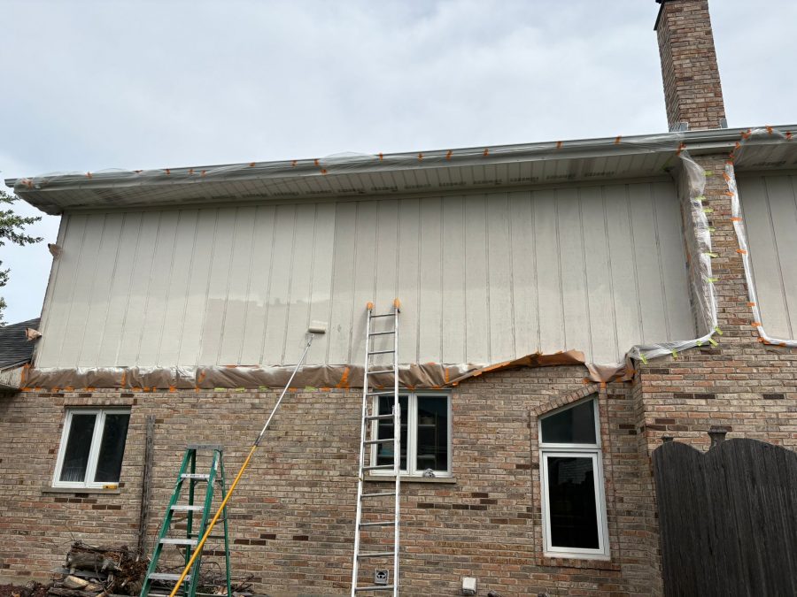 ladder and paint equipment leaning against house Preview Image 1