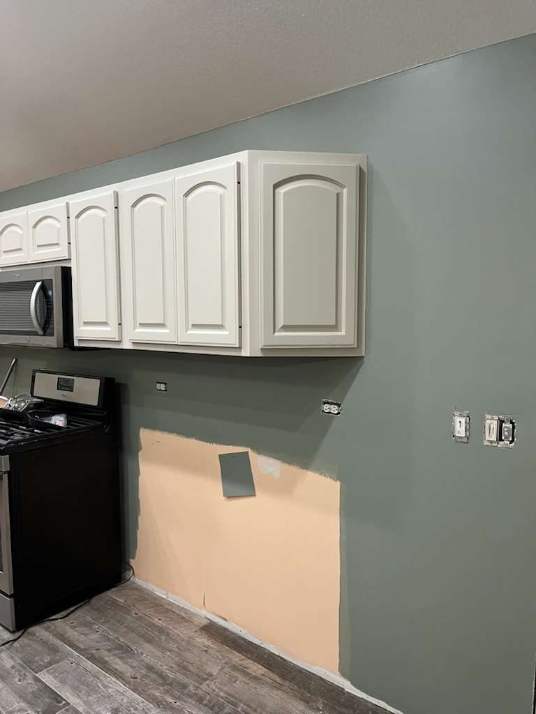 house interior with green painted walls Preview Image 2