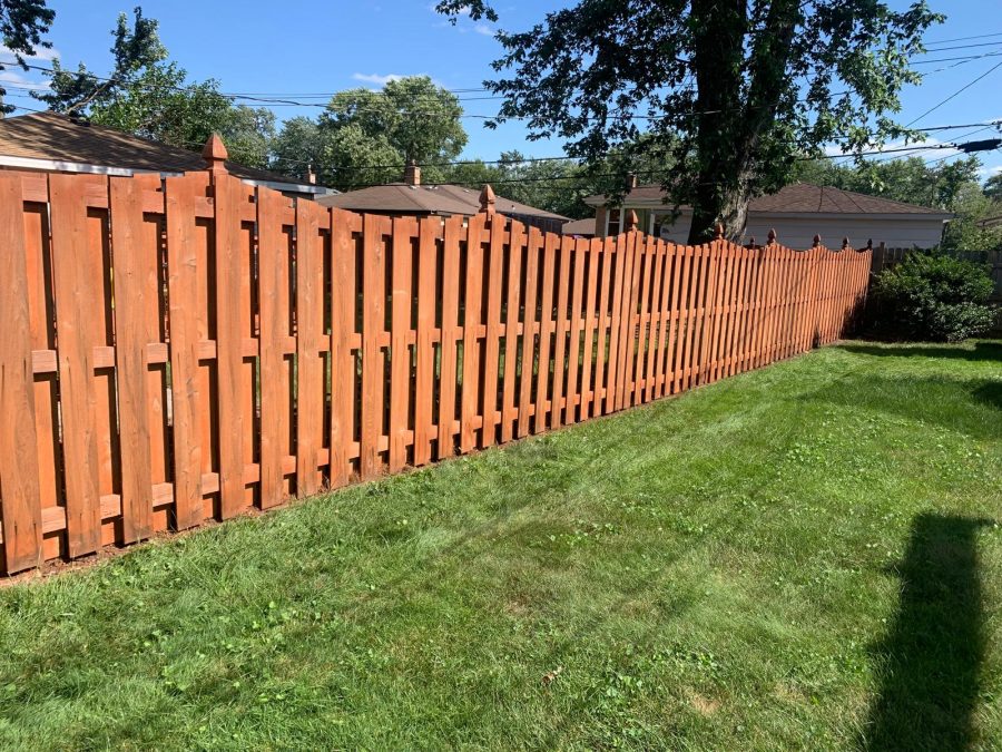 Fence Staining for Backyard in Dolton, IL