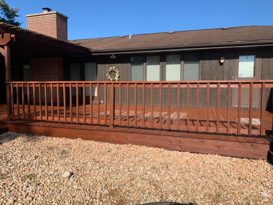 Professional Deck Staining Preview Image 3