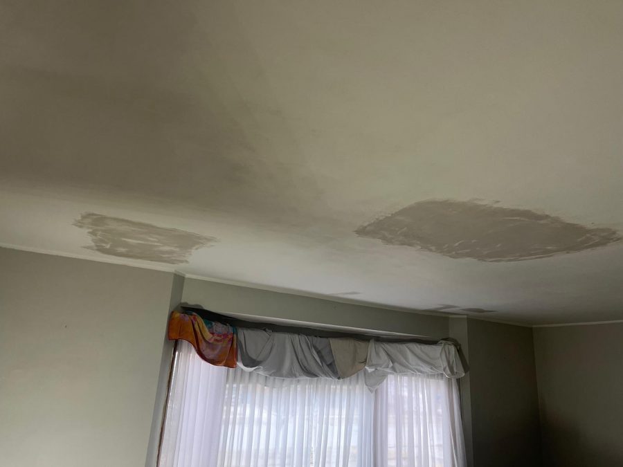 drywall damage Preview Image 3