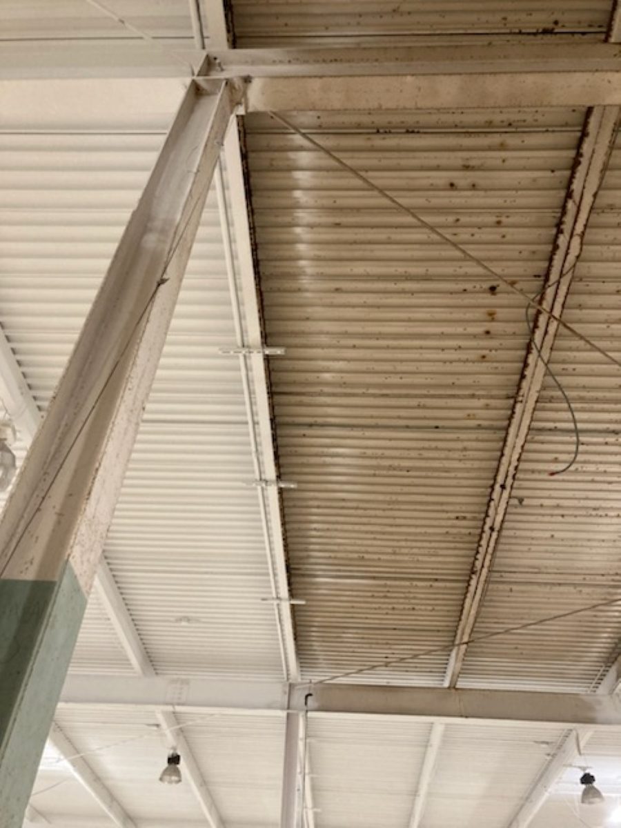 Before & After Dryfall Ceiling Painting Preview Image 1