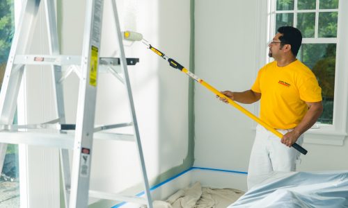 professional painting services