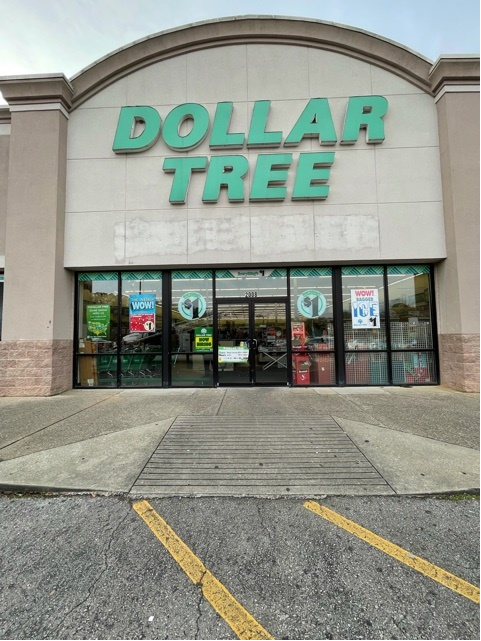 Before Professional Painting - Dollar Tree Preview Image 1