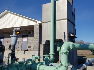 Water Plant Painting