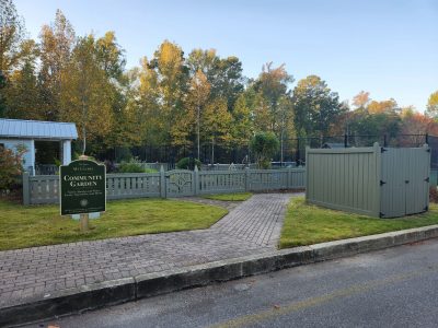 Professional Fence Staining