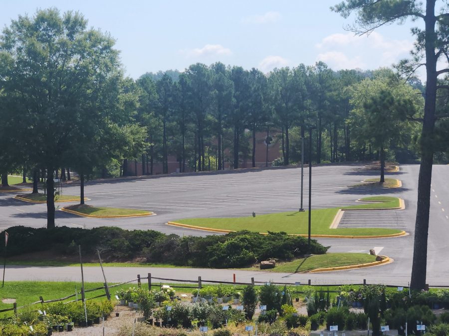 Professional Parking Lot Curb Painting Preview Image 2