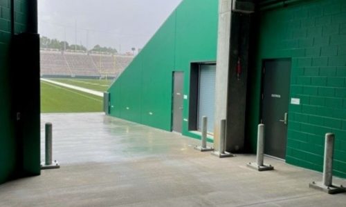 Commercial Stadium Painting