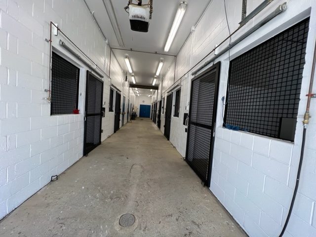 photo of repainted equine veterinarian in califon new jersey Preview Image 1