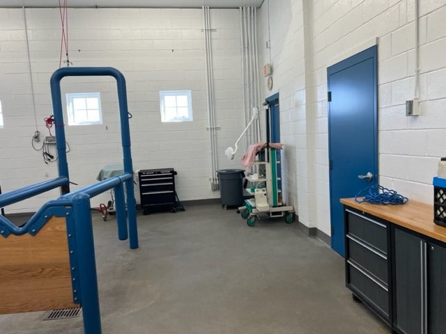 photo of repainted equine veterinarian in califon new jersey Preview Image 7