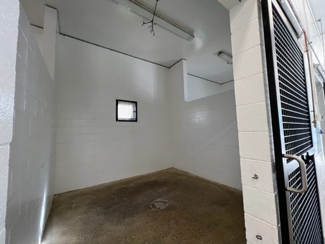 photo of repainted equine veterinarian in califon new jersey Preview Image 5