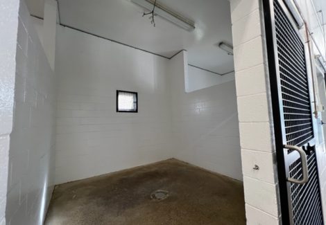 photo of repainted equine veterinarian in califon new jersey