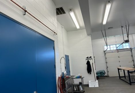 photo of repainted equine veterinarian in califon new jersey