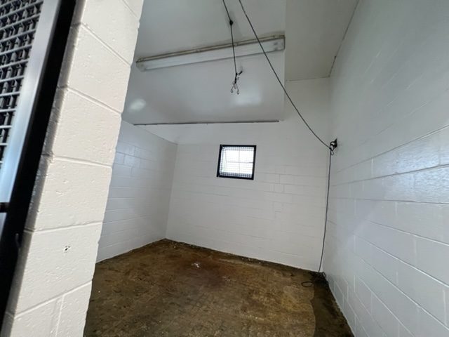 photo of repainted equine veterinarian in califon new jersey Preview Image 4