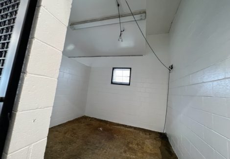 photo of repainted equine veterinarian in califon new jersey