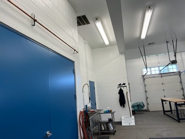 photo of repainted equine veterinarian in califon new jersey Preview Image 8