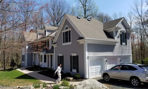 Vinyl Siding Painting