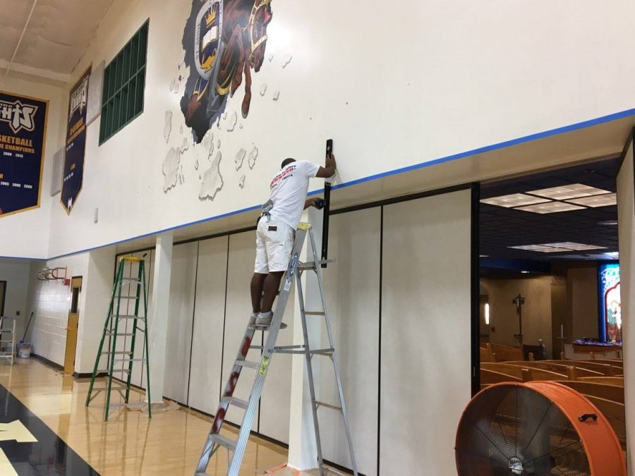 Man painting gym on ladder Preview Image 1