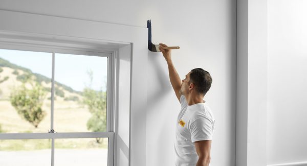 Interior House Painting