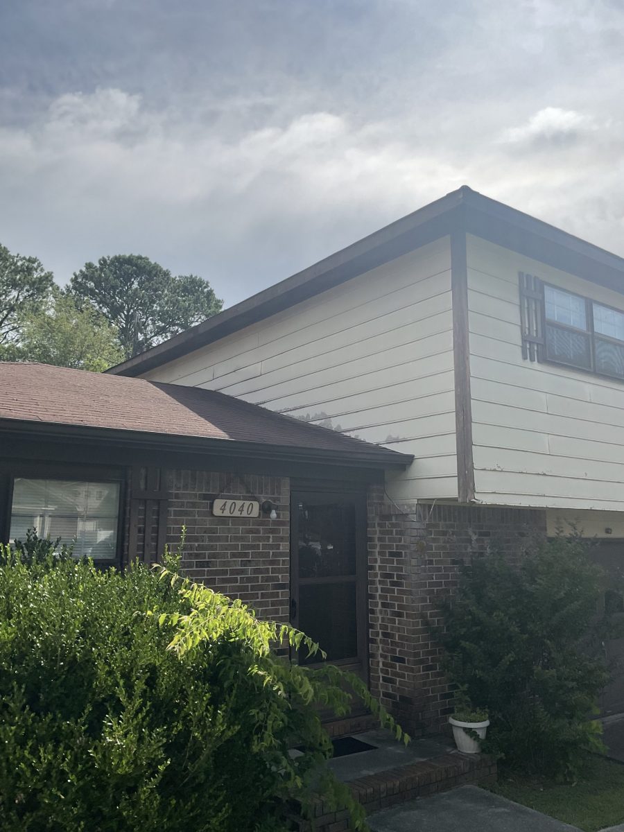 Exterior siding repair and painting - before Preview Image 2