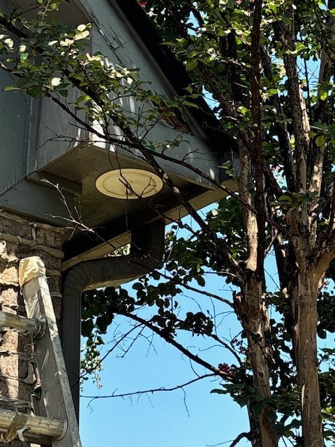 Exterior siding repair and painting - progress Preview Image 11