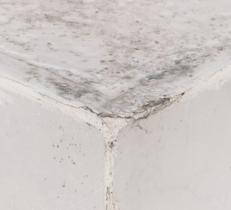 Causes and Fixes to Discoloration of House Paint CertaPro Painters