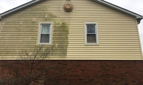 Remove Mold & Mildew From Your Home