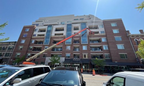 Painting in Progress